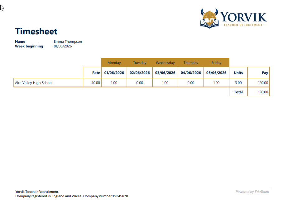Example candidate timesheet